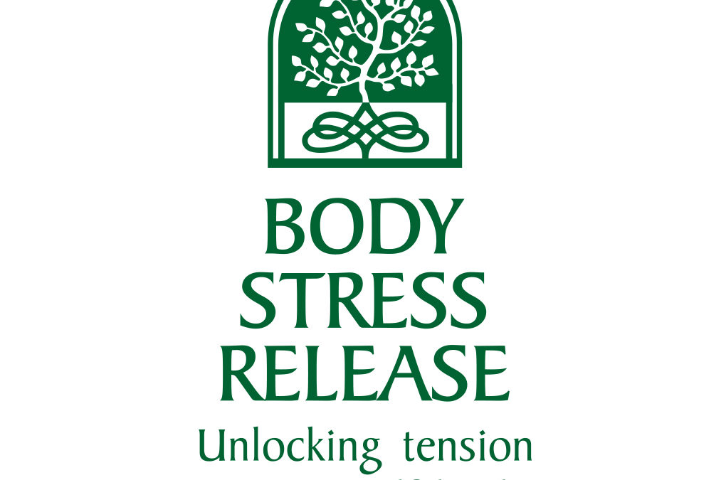 Body_Stress_logo